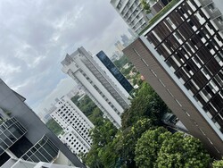 The Peak @ Cairnhill II (D9), Apartment #308094371